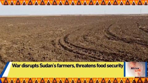 War disrupts Sudan’s farmers, threatens food security