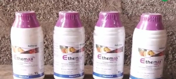 Woman arrested at Madina Market over alleged sale of unapproved fruit-ripening chemicals