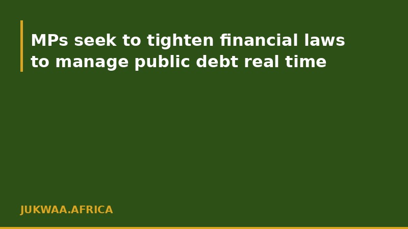 MPs seek to tighten financial laws to manage public debt real time