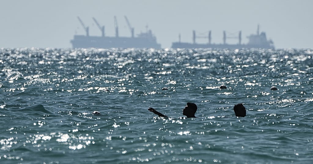 Egypt to build a rail link as an alternative to the blocked Suez Canal