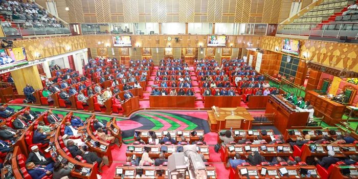 Kenyan MP Wins International Award