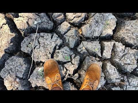 Sudan farms lie barren as El Nino leaves Nile banks dry