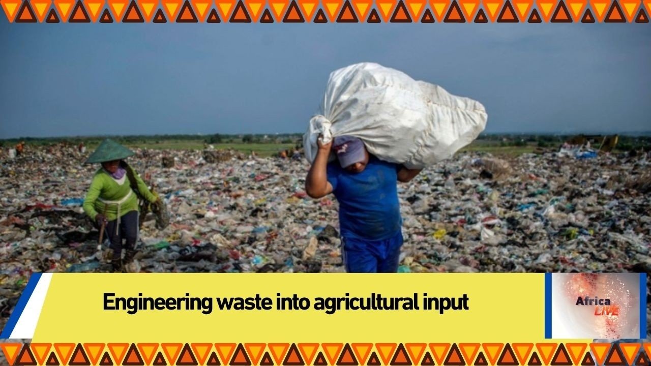 Engineering waste into agricultural input