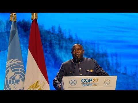 Alarm as bush fires ravage Burundi's Ruvubu National Park