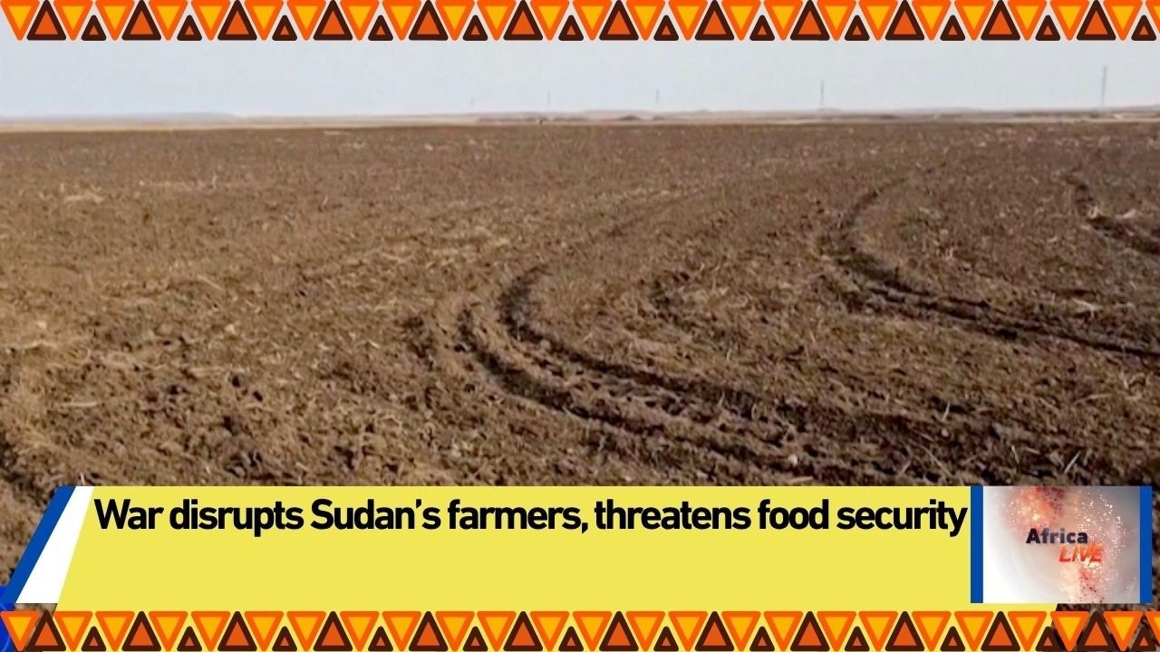 War disrupts Sudan’s farmers, threatens food security